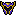 Holy Helmet